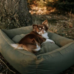 District 70 Lodge Box Bed -Hondenbenodigdheden Winkel district 70 lodge box bed hondenmand 190685 2000 none