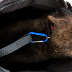 Doctor Bark Dog Carrier Bag -Hondenbenodigdheden Winkel doctor bark honden draagtas 202157 1500 none