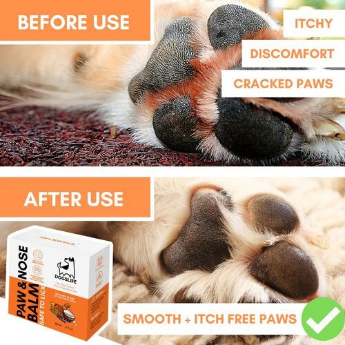 Dogslife Paw & Nose Balm 7 Dogslife Paw & Nose Balm - Afbeelding 5