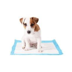 Duvo+ Puppy Pads 20 Duvo+ Puppy Pads -Hondenbenodigdheden Winkel duvo puppy pads 146015 1000 none