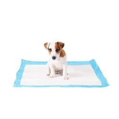 Duvo+ Puppy Pads 17 Duvo+ Puppy Pads -Hondenbenodigdheden Winkel duvo puppy pads large 50 stuks 108439 1000 none