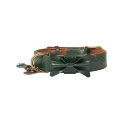 DWAM Halsband Bowie -Hondenbenodigdheden Winkel dwam bowie halsband groen xxl 113224 1000 none