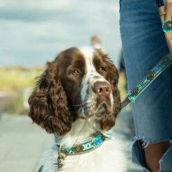 DWAM Halsband Boho Juan 24 DWAM Halsband Boho Juan -Hondenbenodigdheden Winkel dwam halsband boho juan 133658 0500 none