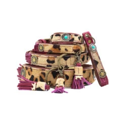 DWAM Halsband Lou Lou -Hondenbenodigdheden Winkel dwam halsband lou lou 182179 1000 none