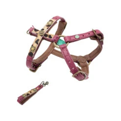 DWAM Hondentuigje Lou Lou -Hondenbenodigdheden Winkel dwam hondentuigje lou lou 182152 1000 none