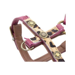 DWAM Hondentuigje Lou Lou -Hondenbenodigdheden Winkel dwam hondentuigje lou lou 182161 1000 none