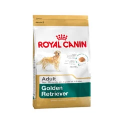 Royal Canin Golden Retriever Adult - Hondenvoer -Hondenbenodigdheden Winkel e455c803e30caf0a664f6d994fdb13fc1d6214cf6baed032c8952b4b01918865 4