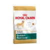 Royal Canin Golden Retriever Adult - Hondenvoer -Hondenbenodigdheden Winkel e455c803e30caf0a664f6d994fdb13fc1d6214cf6baed032c8952b4b01918865 5