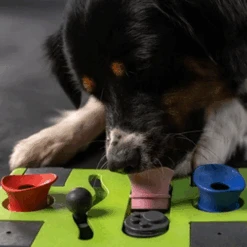 Eat Slow Live Longer Puzzle Antischrok Voerbak -Hondenbenodigdheden Winkel eat slow live longer puzzle antischrok voerbak 220720 0500 none