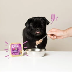 Edgard & Cooper Adult - Wild & Eend - Kuipje -Hondenbenodigdheden Winkel edgard cooper adult wild eend kuipje 168648 1000 none