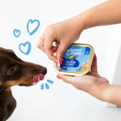 Edgard & Cooper Adult - Zalm & Kalkoen - Kuipje -Hondenbenodigdheden Winkel edgard cooper adult zalm kalkoen kuipje 208616 1000 none