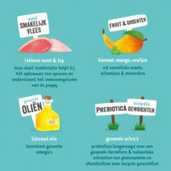 Edgard & Cooper Puppy - Eend & Kip - Blik -Hondenbenodigdheden Winkel edgard cooper puppy eend kip blik 168591 1000 none