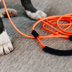 Kentucky Dogwear Sleeplijn Soft Rubber -Hondenbenodigdheden Winkel fL07AS6O7q41v20rSEjIbFFb3sVhGI metaS2VudHVja3ktRG9nd2Vhci1TbGVlcGxpam4tU29mdC1SdWJiZXItb3JhbmdlLXNmZWVyLnBuZw