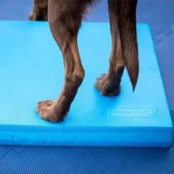 FitPAWS Balance Pad 10 FitPAWS Balance Pad -Hondenbenodigdheden Winkel fitpaws balance pad 176131 0500 none