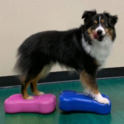 FitPAWS Bone Mini's -Hondenbenodigdheden Winkel fitpaws bone minis 177124 1000 none