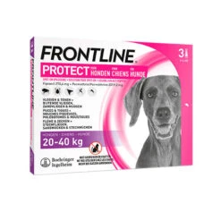 Frontline Protect Hond Spot On 30 Frontline Protect Hond Spot On -Hondenbenodigdheden Winkel frontline protect hond spot on 192797 0500 none