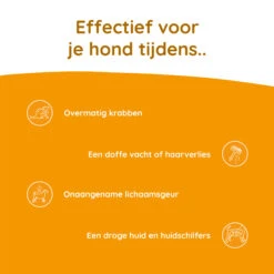 Greenfields Skin+ -Hondenbenodigdheden Winkel greenfields skin 208436 2000 none