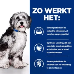 Hill's ON-Care - Prescription Diet - Canine -Hondenbenodigdheden Winkel hills on care prescription diet canine 224073 0500 none