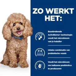 Hill's Prescription Diet Gastrointestinal Biome - Canine - Mini -Hondenbenodigdheden Winkel hills prescription diet gastrointestinal biome canine mini 211856 2000 none
