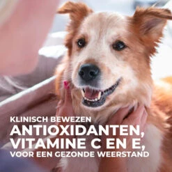 Hill's Science Plan - Small & Mini Adult Dog -Hondenbenodigdheden Winkel hills science plan adult small miniature 218853 0500 none