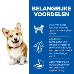 Hill's Science Plan - Small & Mini Adult Dog -Hondenbenodigdheden Winkel hills science plan adult small miniature 218854 0500 none