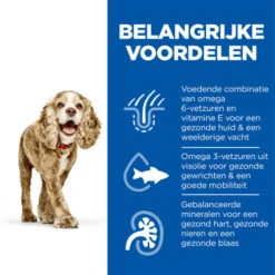 Hill's Science Plan - Small & Mini Senior Dog -Hondenbenodigdheden Winkel hills science plan senior small miniature 218437 0500 none