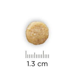 Hill's U/d - Urinary Care - Prescription Diet - Canine -Hondenbenodigdheden Winkel hills ud urinary care prescription diet canine 148703 1000 none