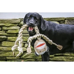 HuggleHounds Rope Knotties Monkey -Hondenbenodigdheden Winkel hugglehounds rope knotties monkey 214151 0500 none