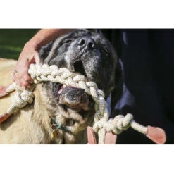 HuggleHounds Rope Knotties Monkey -Hondenbenodigdheden Winkel hugglehounds rope knotties monkey 214157 0500 none