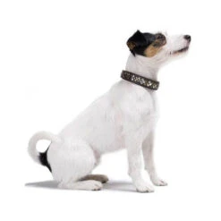 Hunter Halsband Arizona -Hondenbenodigdheden Winkel hunter halsband arizona 116187 0500 none