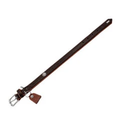 Hunter Halsband Cody -Hondenbenodigdheden Winkel hunter halsband cody 116502 0500 none