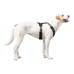 Hunter Harness Maldon 40 Hunter Harness Maldon -Hondenbenodigdheden Winkel hunter harness maldon 223765 1500 none