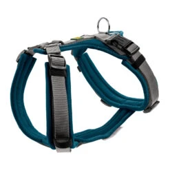 Hunter Harness Maldon 29 Hunter Harness Maldon -Hondenbenodigdheden Winkel hunter harness maldon s m 37 53 cm tealgrijs 138087 1500 none