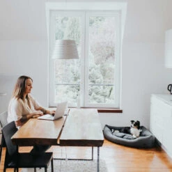 Hunter Hoekmand Livingstone - Grijs -Hondenbenodigdheden Winkel hunter hoekmand livingstone grijs 175903 1500 none