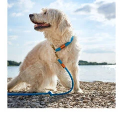 Hunter Verstelbare Riem Oss 25 Hunter Verstelbare Riem Oss -Hondenbenodigdheden Winkel hunter verstelbare riem oss 116580 0500 none