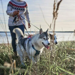 Hurtta - Weekend Warrior Winter Harnas - Bilberry -Hondenbenodigdheden Winkel hurtta weekend warrior winter harnas bilberry 216605 1500 none