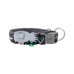 Hurtta Razzle Dazzle Collar - Blackberry -Hondenbenodigdheden Winkel hurtta razzle dazzle collar blackberry 175957 2000 none