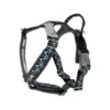Hurtta Razzle Dazzle Y-Harness - Blackberry -Hondenbenodigdheden Winkel hurtta razzle dazzle harness blackberry 3545 cm 106516 2000 none