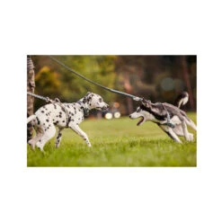 Hurtta Razzle Dazzle Y-Harness - Hedge 15 Hurtta Razzle Dazzle Y-Harness - Hedge -Hondenbenodigdheden Winkel hurtta razzle dazzle harness hedge 185245 2000 none