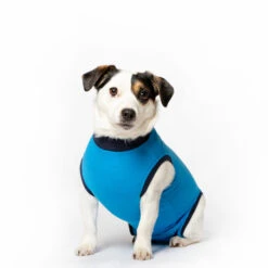 Jacketz Medical Body Suit Hond -Hondenbenodigdheden Winkel jacketz medical body suit hond m blue 136184 2000 none