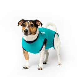 Jacketz Medical Body Suit Hond -Hondenbenodigdheden Winkel jacketz medical body suit hond s aqua green 129583 2000 none