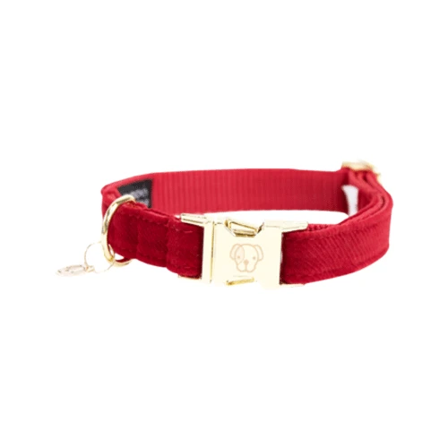 Kentucky Dogwear Corduroy Hondenhalsband - Afbeelding 10