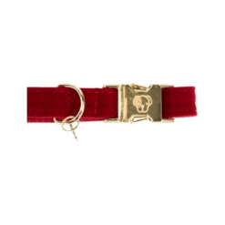 Kentucky Dogwear Corduroy Hondenhalsband -Hondenbenodigdheden Winkel kentucky dogwear corduroy hondenhalsband 219199 0500 none