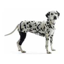 Kruuse Rehab Kniebeschermer -Hondenbenodigdheden Winkel kruuse rehab kniebeschermer 142277 0500 none