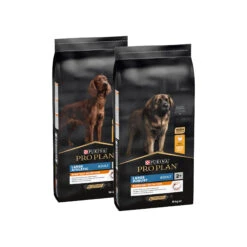 Purina Pro Plan Dog Adult - Large Breed -Hondenbenodigdheden Winkel l5CD0wyQNsABCNtbAd2TOpNRyjq1LP metaUHVyaW5hLVByby1wbGFuLUxhcmdlLUV2ZXJ5ZGF5LU51dHJpdGlvbi1PdmVyaXpjaHQuanBn