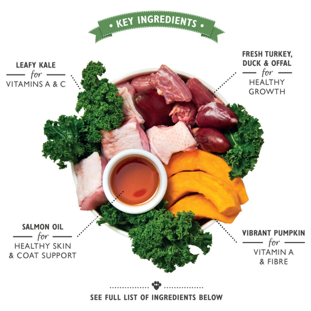 Lily's Kitchen Puppy - Blik - Kalkoen, Eend En Boerenkool 5 Lily's Kitchen Puppy - Blik - Kalkoen, Eend En Boerenkool - Afbeelding 3