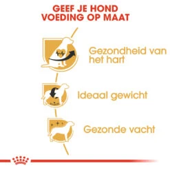 Royal Canin Cavalier King Charles Adult - Hondenvoer -Hondenbenodigdheden Winkel m17vF34IMd6faEs4mRthqSVeV8N2qC metaUm95YWwtQ2FuaW4tQ2F2YWxpZXItS2luZy1DaGFybGVzLUFkdWx0XzA0LmpwZw