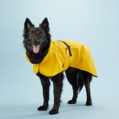 PAIKKA Visibility Raincoat Lite Yellow 12 PAIKKA Visibility Raincoat Lite Yellow -Hondenbenodigdheden Winkel mW2Bw3791R8VnpD5P3PKMJkiXIFNZn metaUGFpa2thLVZpc2liaWxpdHktUmFpbmNvYXQtTGl0ZS1ZZWxsb3c0LmpwZw