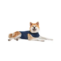 Medical Pet Shirt Hond -Hondenbenodigdheden Winkel medical pet shirt hond 167410 1000 none
