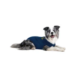 Medical Pet Shirt Hond -Hondenbenodigdheden Winkel medical pet shirt hond 167416 1000 none
